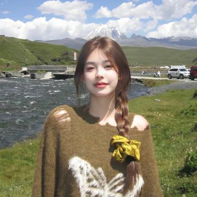 影子军队